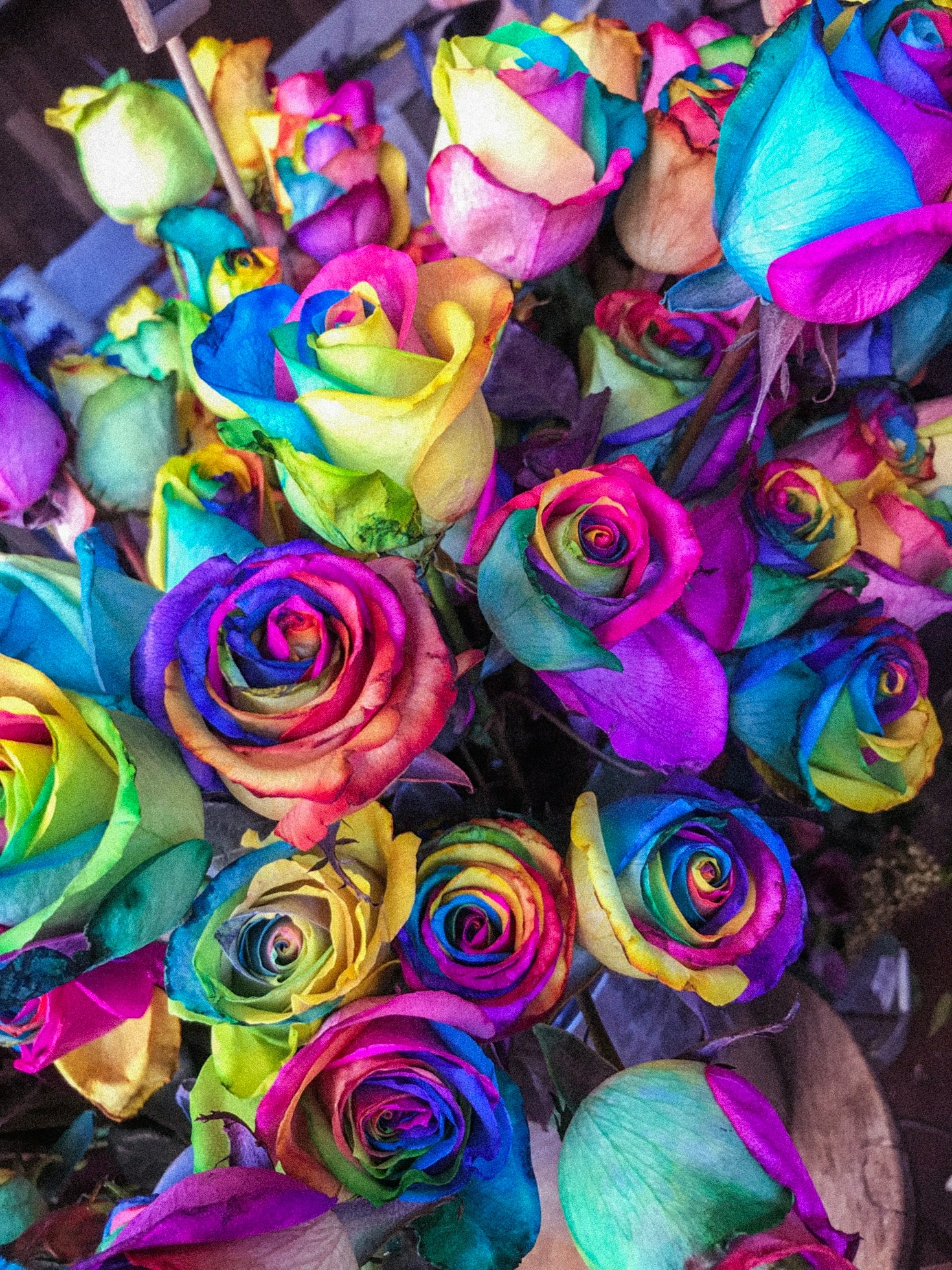 Seasonal Flowers to Brighten Your Home
